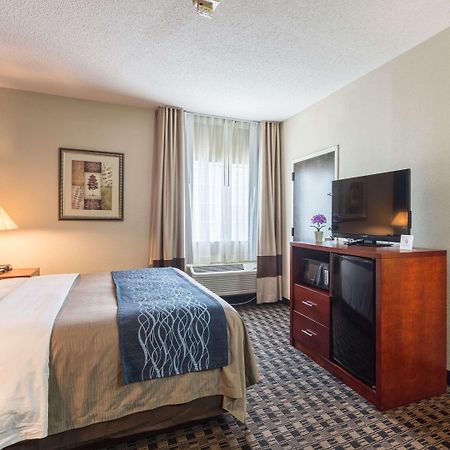 Comfort Inn Decatur Priceville Buitenkant foto