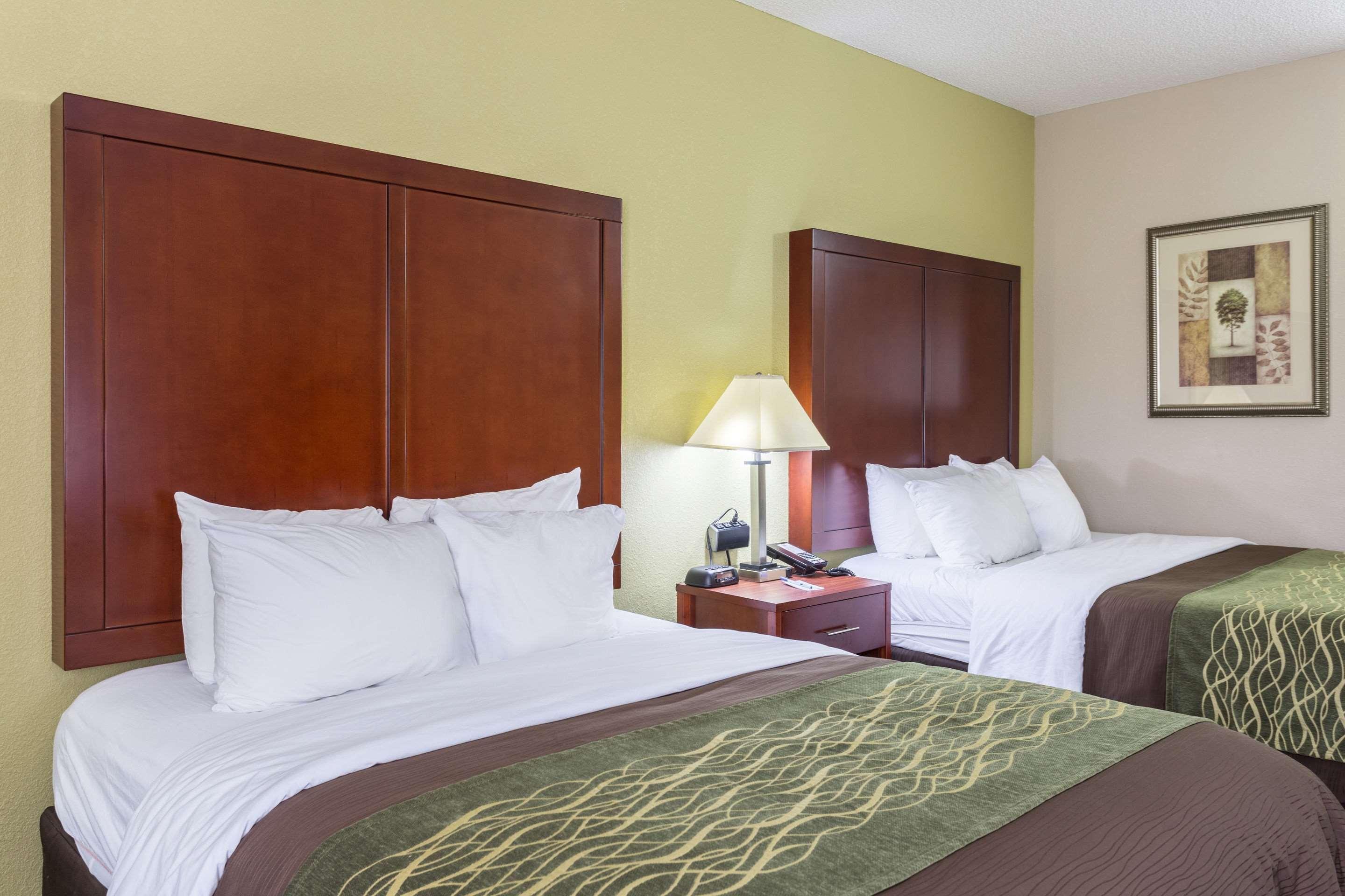 Comfort Inn Decatur Priceville Buitenkant foto