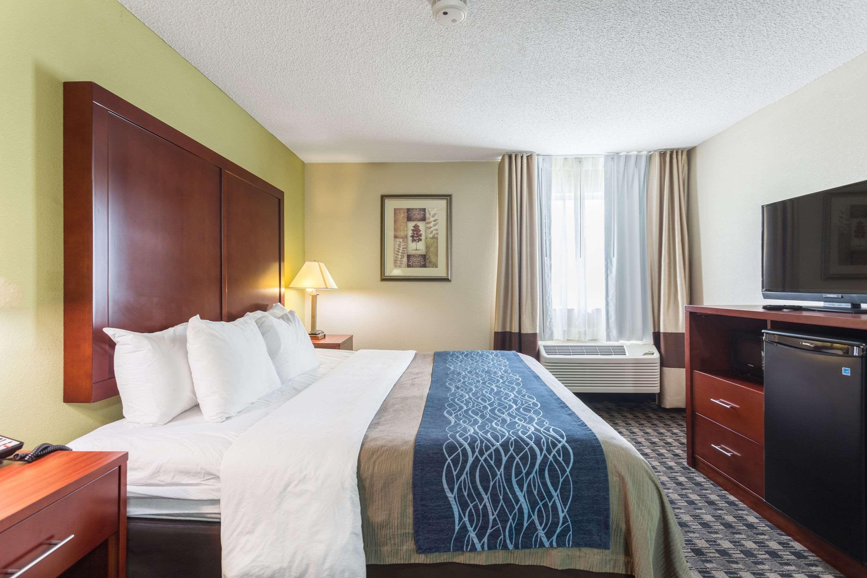 Comfort Inn Decatur Priceville Buitenkant foto
