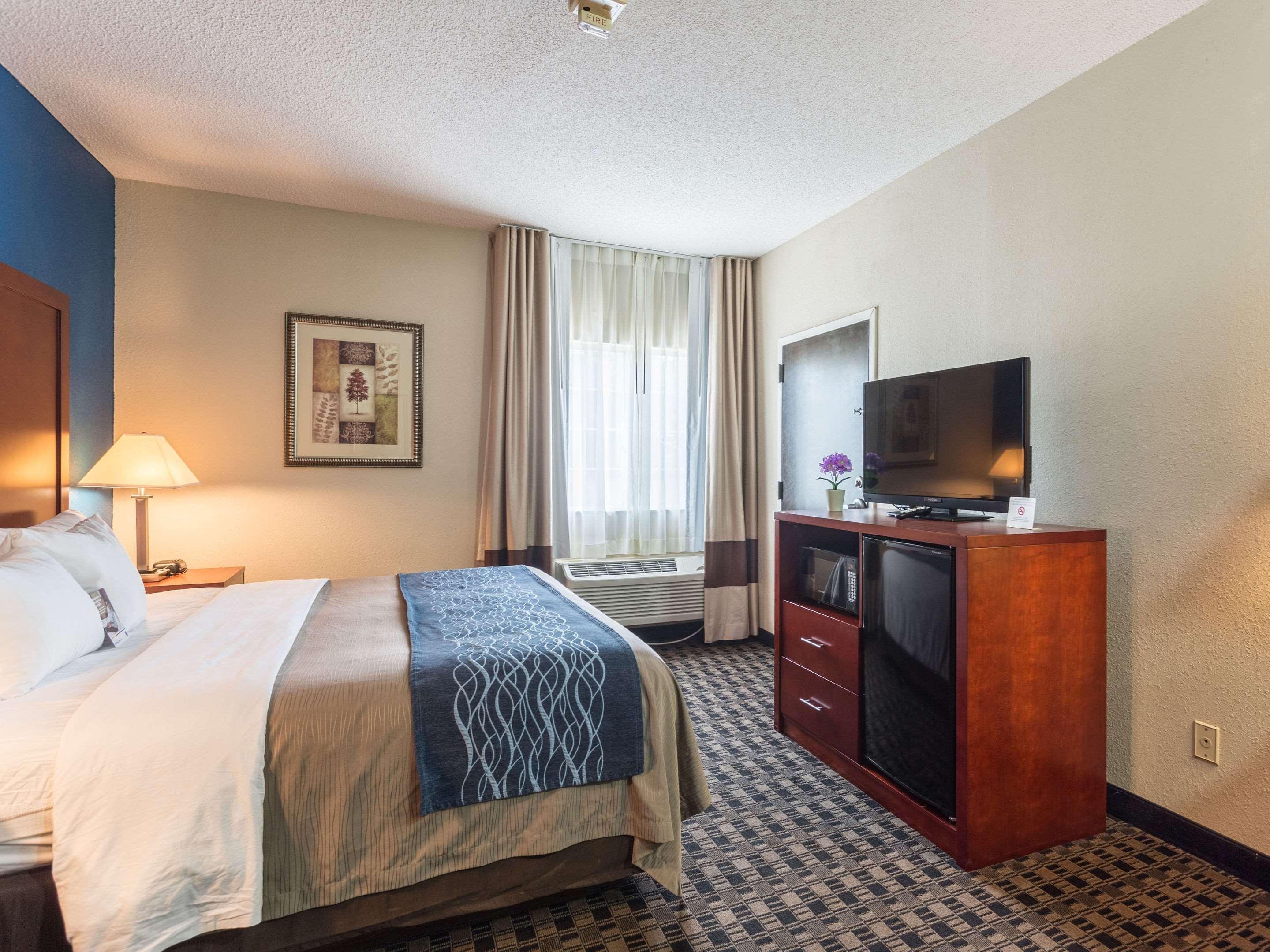 Comfort Inn Decatur Priceville Buitenkant foto