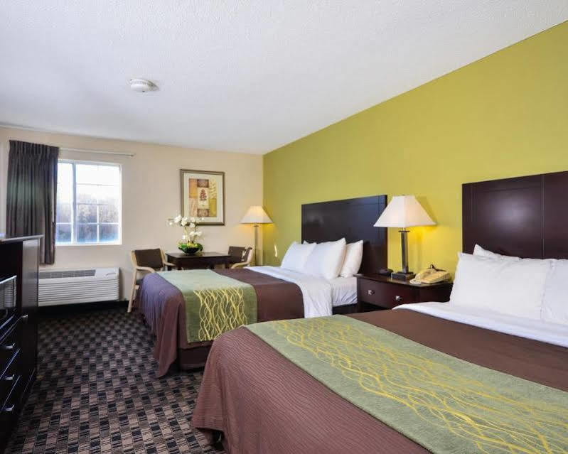 Comfort Inn Decatur Priceville Buitenkant foto