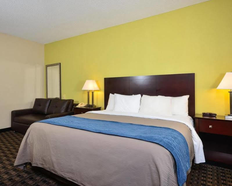 Comfort Inn Decatur Priceville Buitenkant foto
